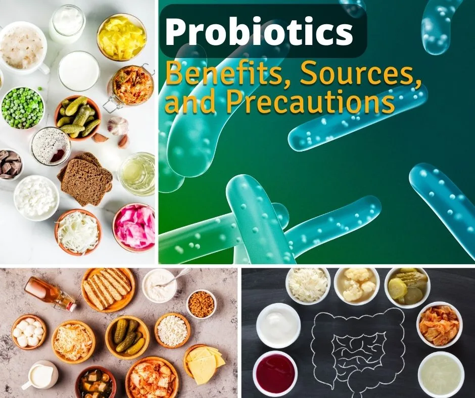 Read more about the article A Guide to Probiotics and Their Benefits, Sources, and Precautions.