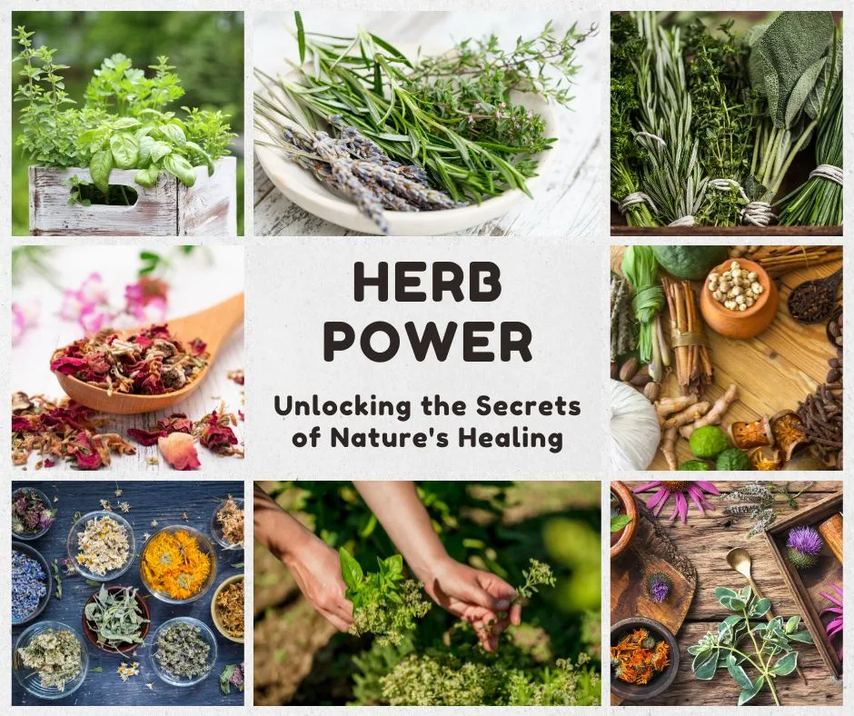 Herb Power Unlocking the Secrets of Nature's Healing for Different Organs